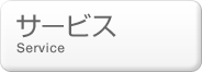 �T�[�r�X